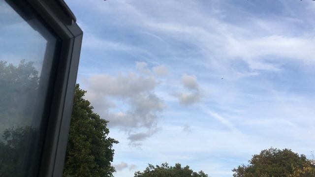 Observing the observer (Standard) смотреть онлайн