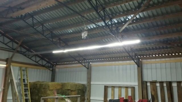 Barn with 2835 LEDs on solar смотреть онлайн