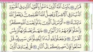 Шейх Айман Сувейд сура Ибрахим стр 259