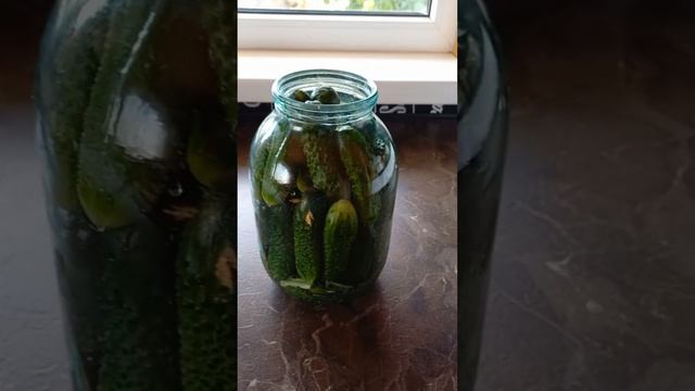Рецепт маринованных огурцов
