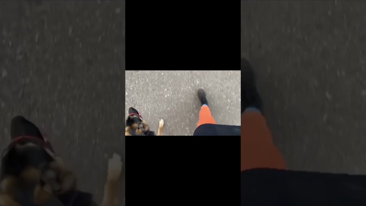 Важность контроля смотреть онлайн