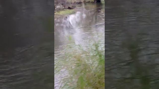 Разлука долгая для нас с тобой... смотреть онлайн