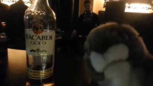 История одного бурундука смотреть онлайн