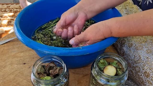 DO NOT THROW OUT THE EGGPLANT HEAD! THERE IS A GREAT RECEPT FROM MY MOM! смотреть онлайн