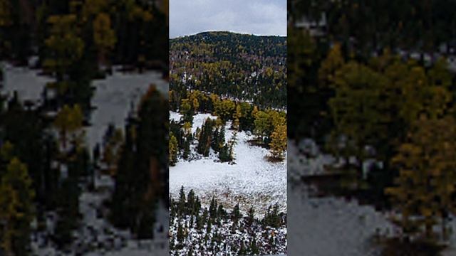 Перевал Дятлова ч. 318 Лекция от Тани Котовой. Дятловские деньги/2 #перевалдятлова #дятловцы смотреть онлайн