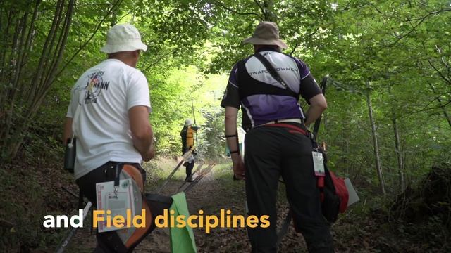 Competitive international archery for people aged 50+ | Archery News смотреть онлайн