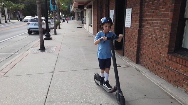 Things Every Family Must Do in Florida's Sports Coast смотреть онлайн