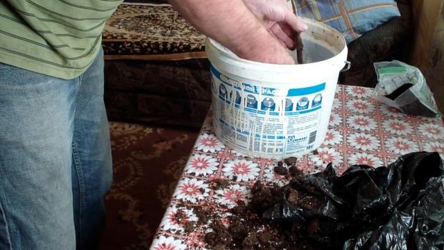 Беккер саженцы, сколько пропало?! смотреть онлайн