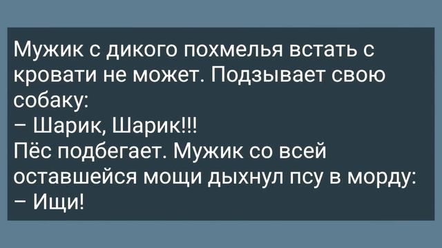 Тесть с Топором Пришел к Зятю! Сборник Свежих анекдотов! Юмор! смотреть онлайн
