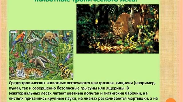 Урок Географии 6 класс. смотреть онлайн