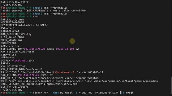 04-Docker: Переменные. Environment Variables.