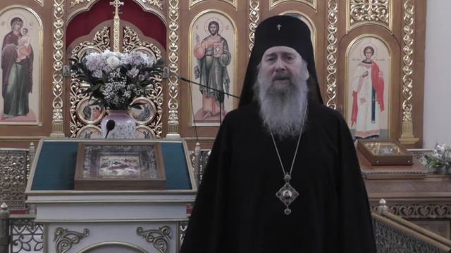 Рождественское послание архиепископа Полоцкого и Глубокского Феодосия 2019 год. смотреть онлайн