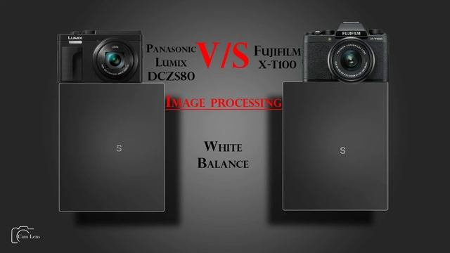 Panasonic Lumix DCZS80 vs Fujifilm X T100 смотреть онлайн
