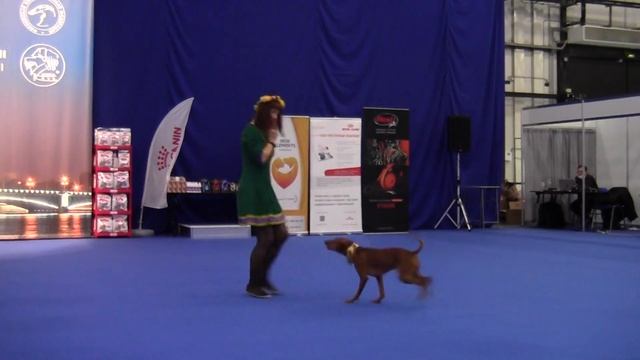 Открытый-Фристайл Сергеева Марина и Чирнеко дель этна Арте Антика Танго смотреть онлайн