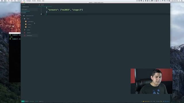 ES2015 / ES2017 with Babel + Node.js Tutorial - 2017 смотреть онлайн