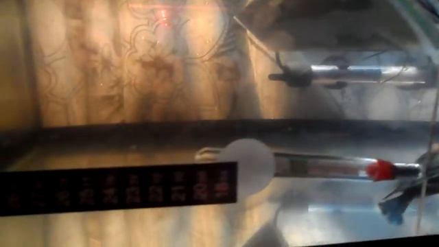 КАКОЙ ГРАДУСНИК НАДО КУПИТЬ В ТЕРАРРИУМ СТЕКЛЯННЫЙ ИЛИ НАКЛЕЙКУ? смотреть онлайн