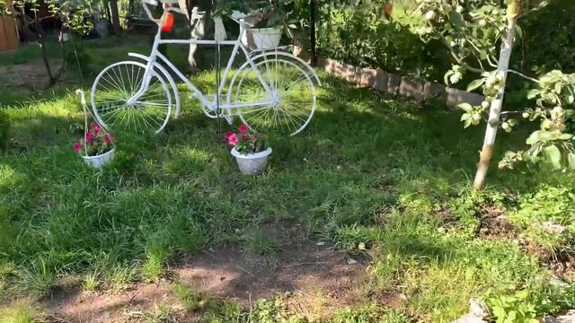 ГРИБЫ НА УЧАСТКЕ КАК ИЗБАВИТЬСЯ #грибы #газон #дача #верандацветысадогород смотреть онлайн