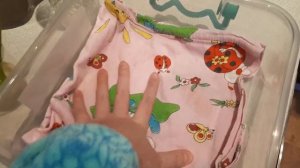 обустройка домика для сквиши собаки