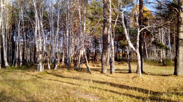 золотая Серёжка смотреть онлайн