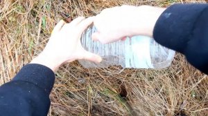 Мышеловка из бутылки своими руками. Как быстро сделать мышеловку? Ловушка для мышей своими руками.