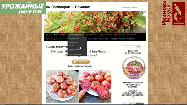 Лучшие сорта ТОМАТОВ где?.. В ПОМИДОМЕ! А еще экзотический картофель и самый острый перец! смотреть онлайн