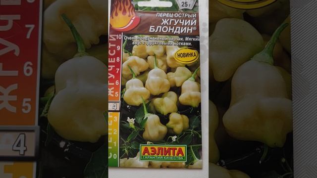 Среди Острых - Совсем не Острый