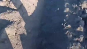 Минитрактор кмз 012. Боронование