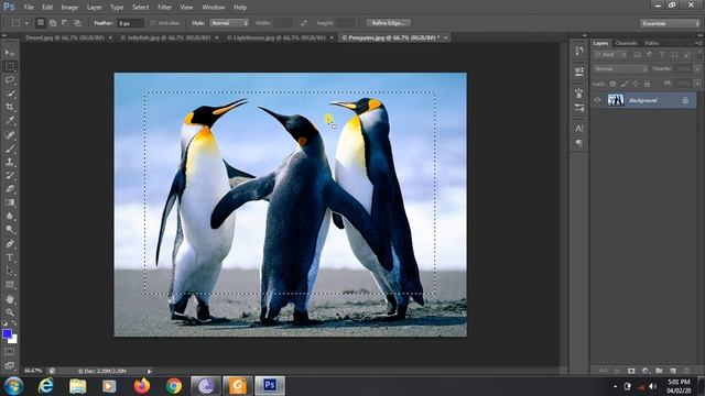 #photoshop Work of Rectangular Marquee tool in Adobe Photoshop смотреть онлайн
