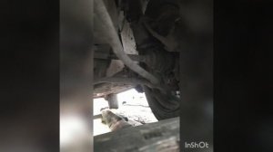 Стук передней подвески Лада Гранта одна из причин!