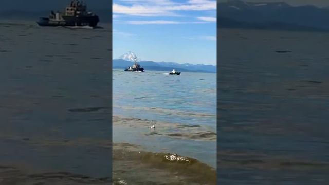 Начало учебной тревоги на день ВМФ России Петропавловск-Камчатский смотреть онлайн