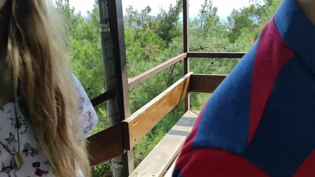 Геленжик . Сафари парк смотреть онлайн