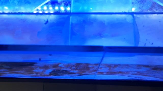 Разница оптивайта и обычного стекла. смотреть онлайн