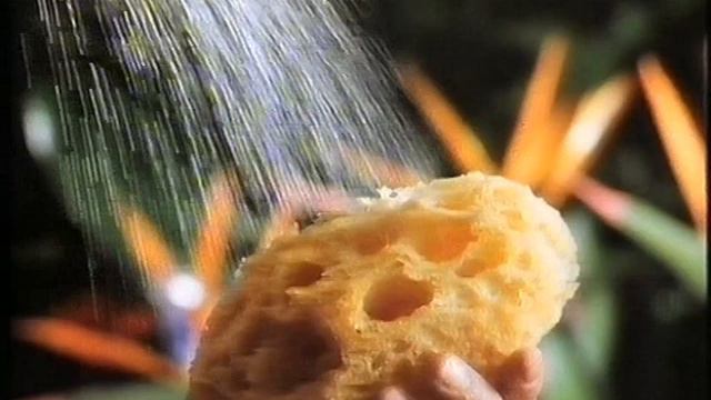 Seramis Werbung 1990 смотреть онлайн