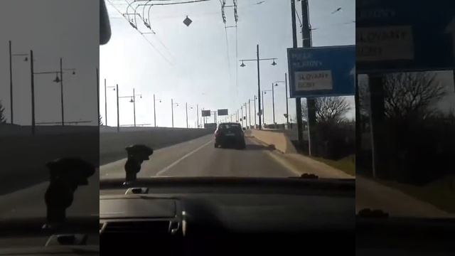 Чехия, Плзень, Прогулка смотреть онлайн