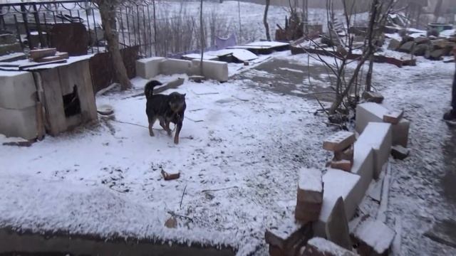 8 Марта, цветы для женщин, детям сладости, никого не забыли, скромный стол, Шаповаловы влог
