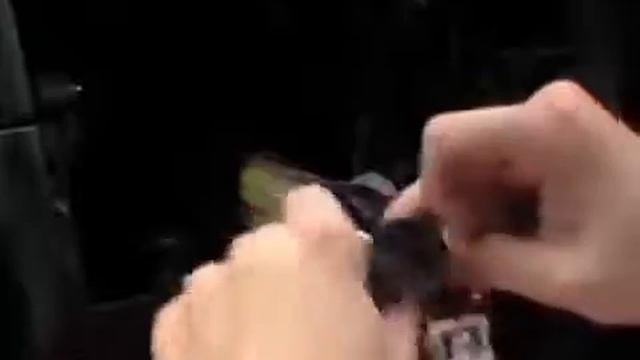 Car Audio Head Unit Replacement 1994 Nissan p10 Primera Part 1 смотреть онлайн