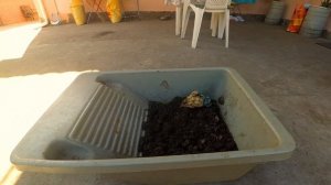 Что такое вермиферма? Как сделать простейшую вермиферму.