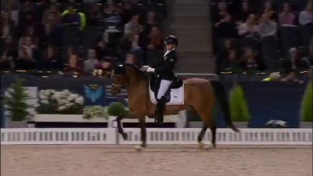 Meja Karlsson Wise Guy Freestyle Pony SIHS 2018 смотреть онлайн