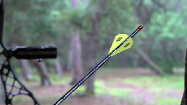 3 Reasons Why You Should Shoot Skinny Arrows смотреть онлайн