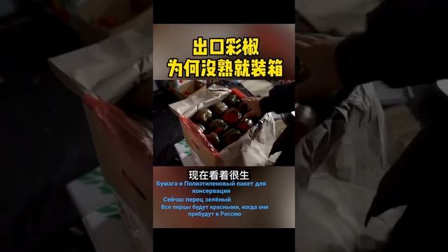 Зелёный или красный перец? Китайские овощи и фрукты:перец, морковь,чеснок,помидор,огурец и картофел смотреть онлайн