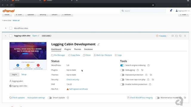 cPanel's WordPress Toolkit Deluxe Overview смотреть онлайн