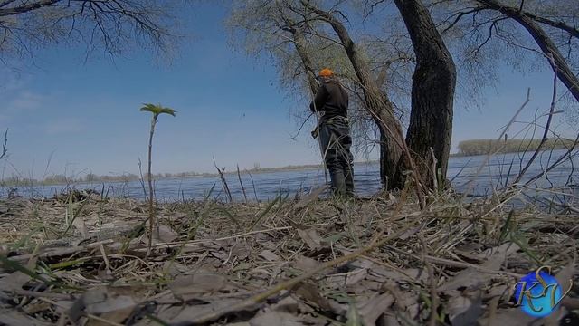 Фидер весной на малой реке Ловля Чехони на Десне смотреть онлайн