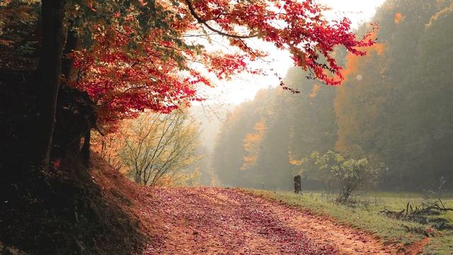 Медитация за Мир и Спокойствие смотреть онлайн