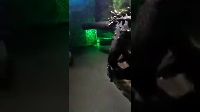 Выставка динозавров 23.06.19 Тула смотреть онлайн