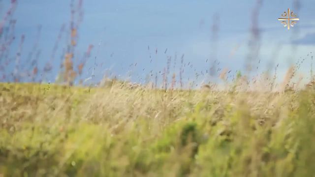 Первотатарин Дугина смотреть онлайн