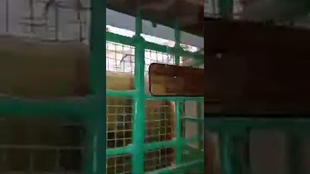 Могилы Пророков ☝️ смотреть онлайн