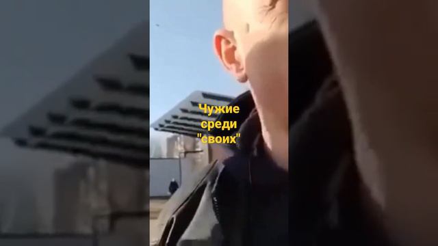 Из Харькова во Львов и обратно смотреть онлайн