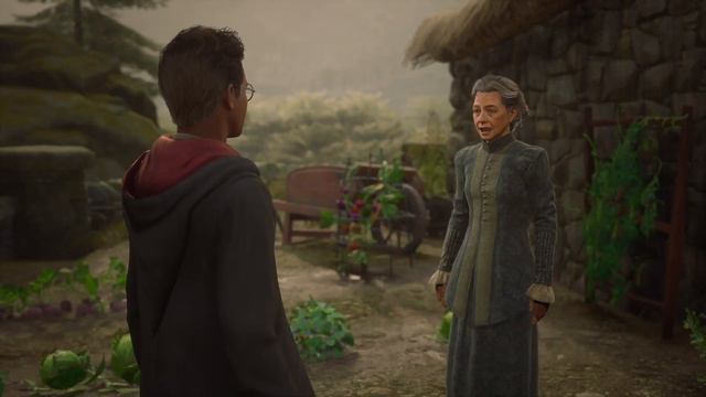 Hogwarts Legacy FULL GAMEPLAY (Xbox Series X) - Part 12 - THE SIDE QUESTS HUSTLE смотреть онлайн
