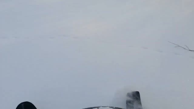 4 декабря 2023 г. смотреть онлайн