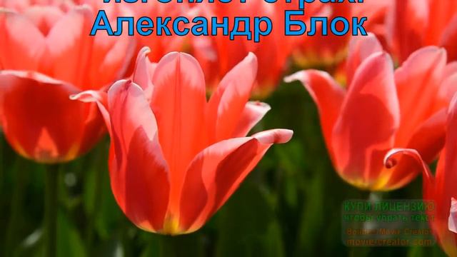 А вы умеете любить? Цитаты о любви. Мысли с пользой. Выпуск 106 смотреть онлайн